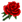 Rose (rot).png