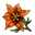 Orangefarbene Blume.png