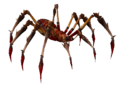 Rote Giftspinne.png