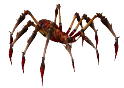 Rote Giftspinne.png